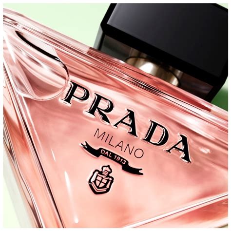 paradoxa prada|Mehr.